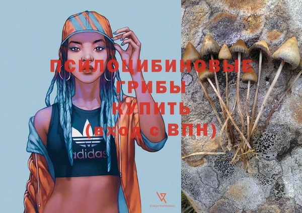 спайс Бородино