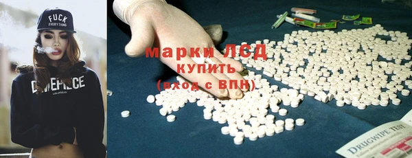 спайс Бородино