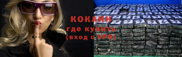 спайс Бородино